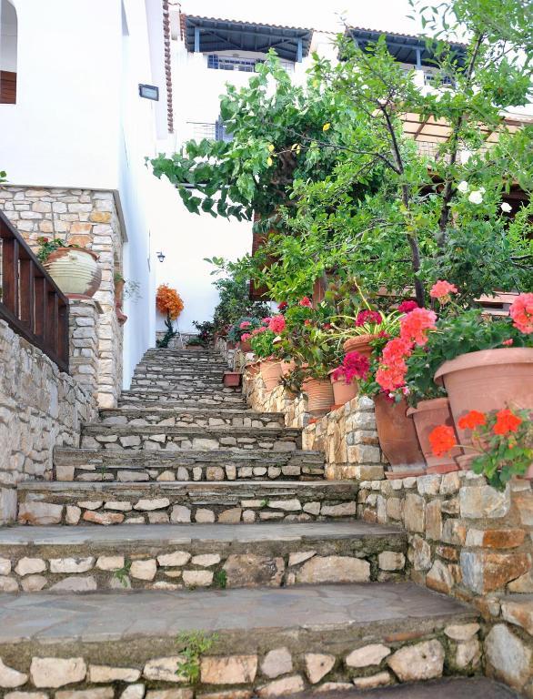 Pension Andromeda Патітірі Номер фото